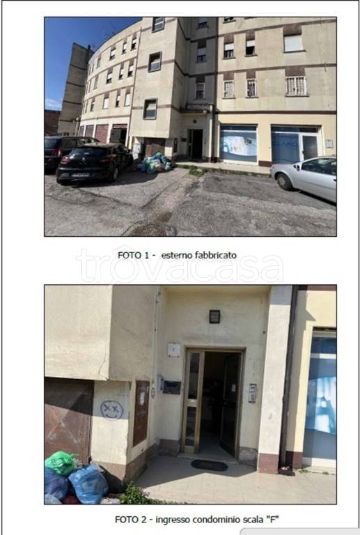 immagine annuncio 1 di 13