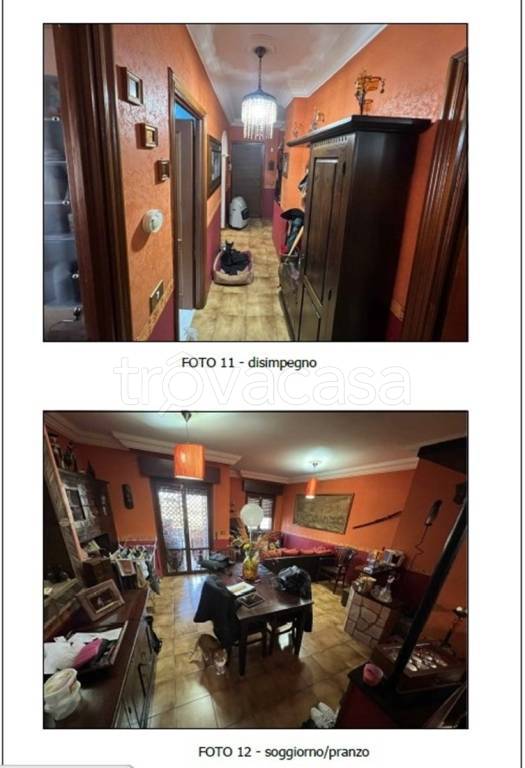 immagine annuncio 6 di 13