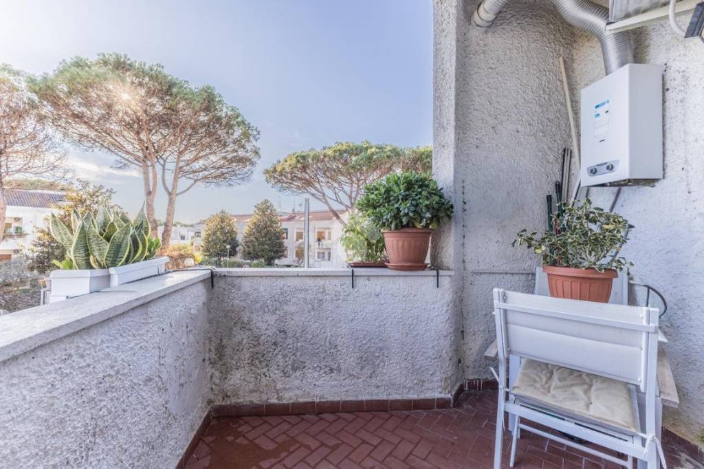 immagine annuncio 4 di 13