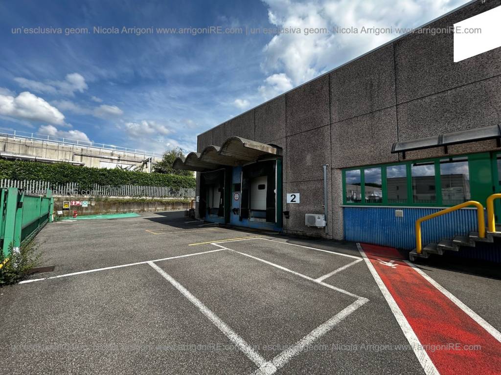 immagine annuncio 7 di 15