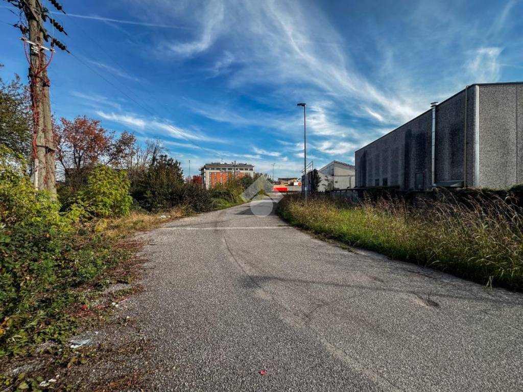 immagine annuncio 4 di 15