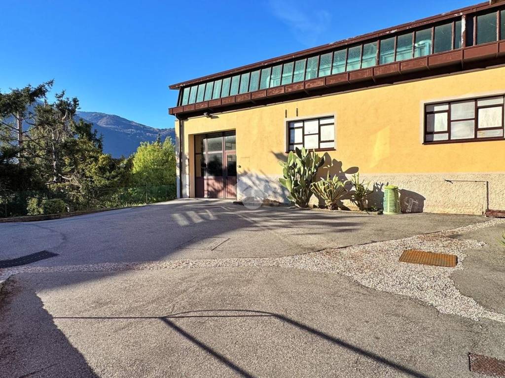 immagine annuncio 1 di 12