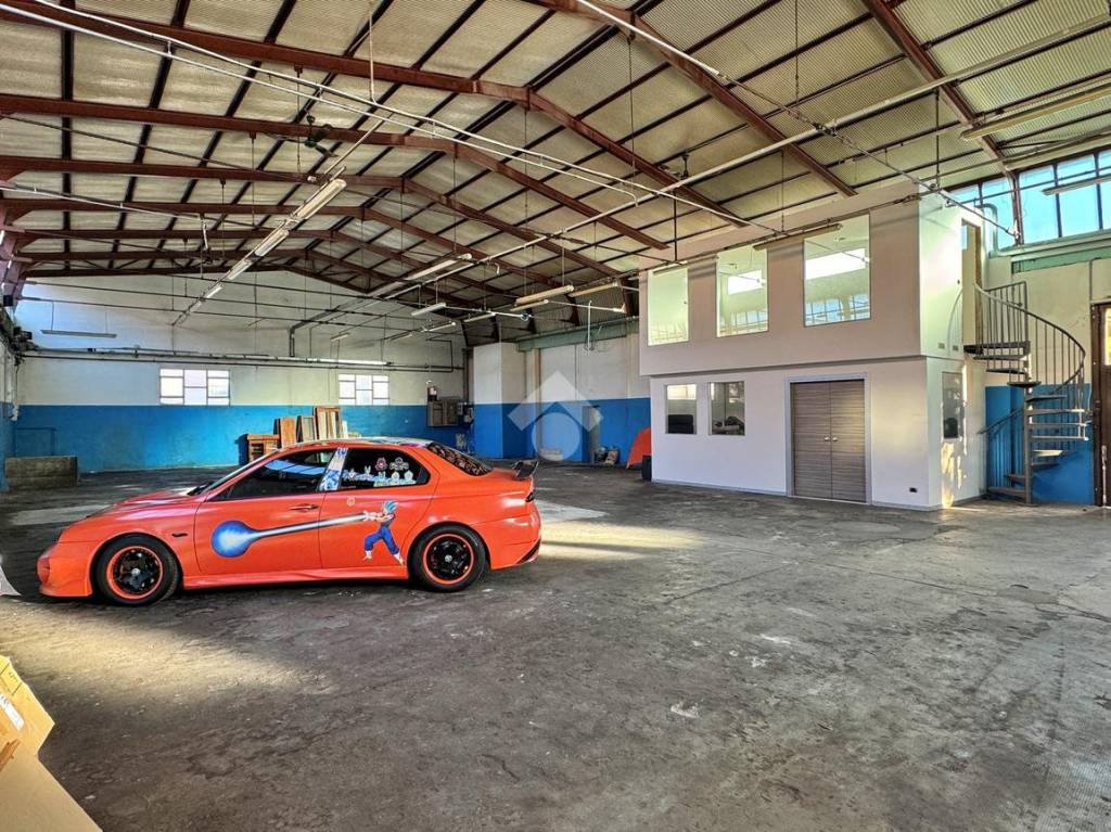 immagine annuncio 2 di 12