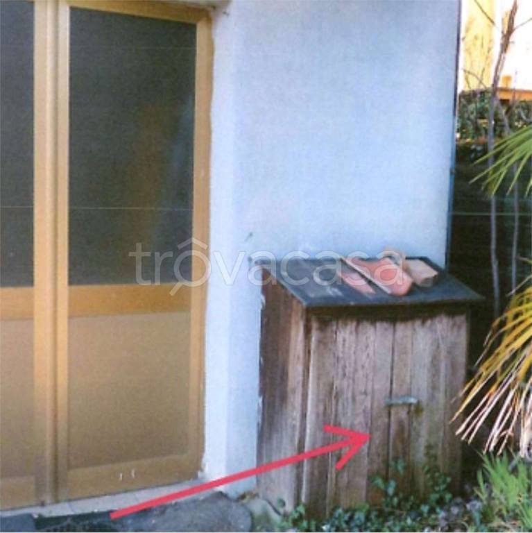 immagine annuncio 9 di 11