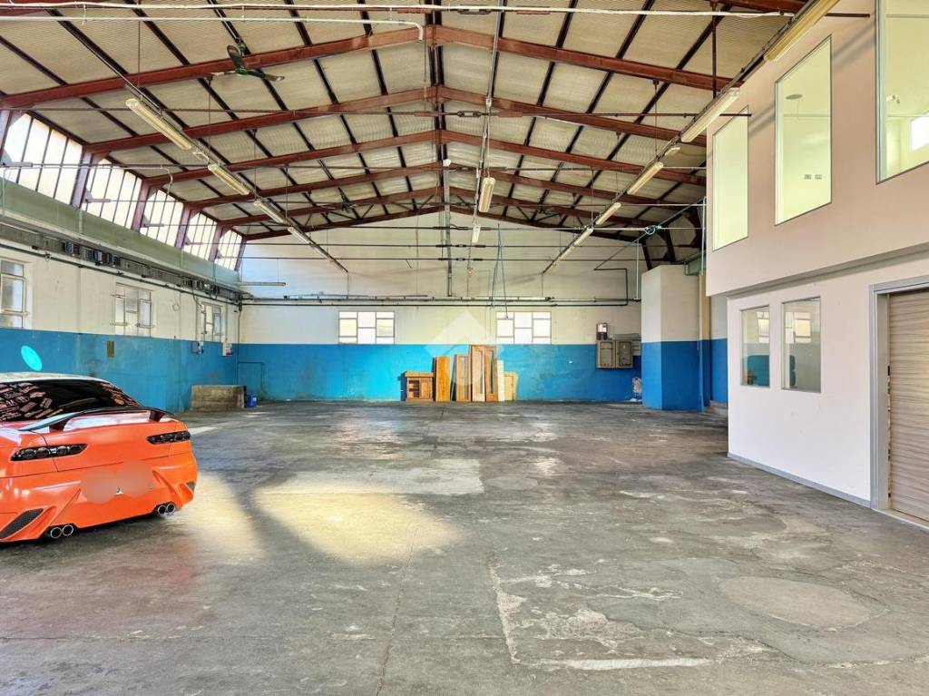 immagine annuncio 5 di 12