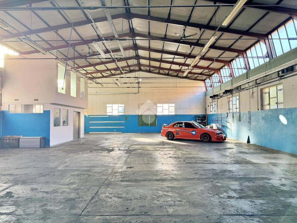 immagine annuncio 6 di 12