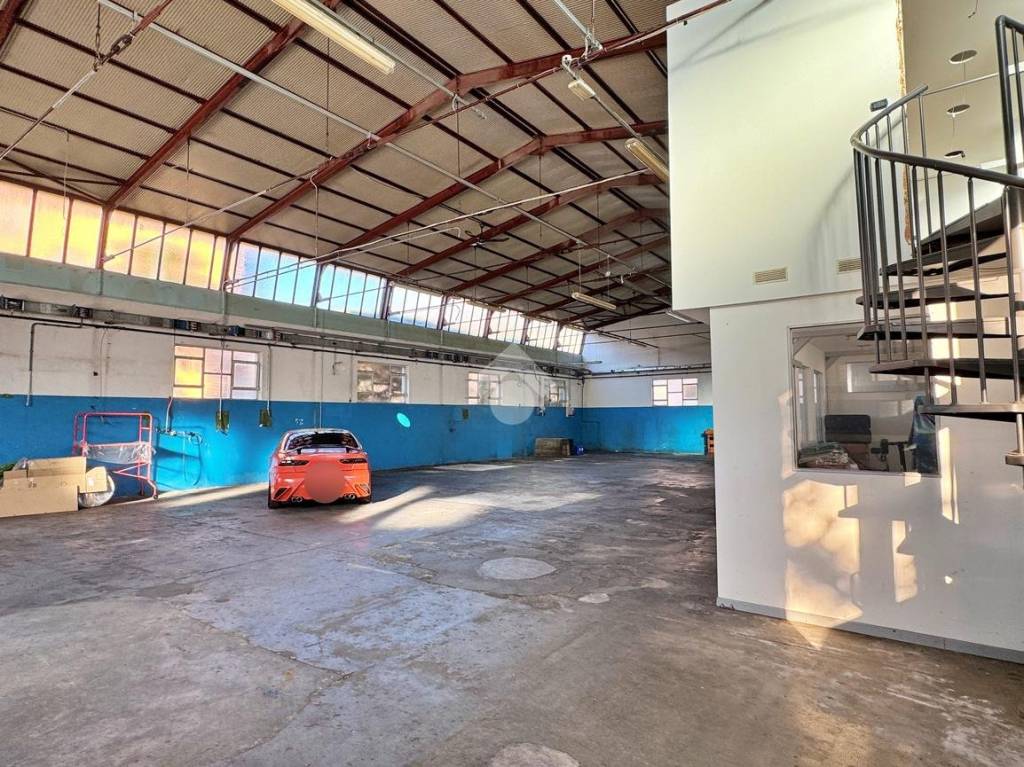 immagine annuncio 7 di 12