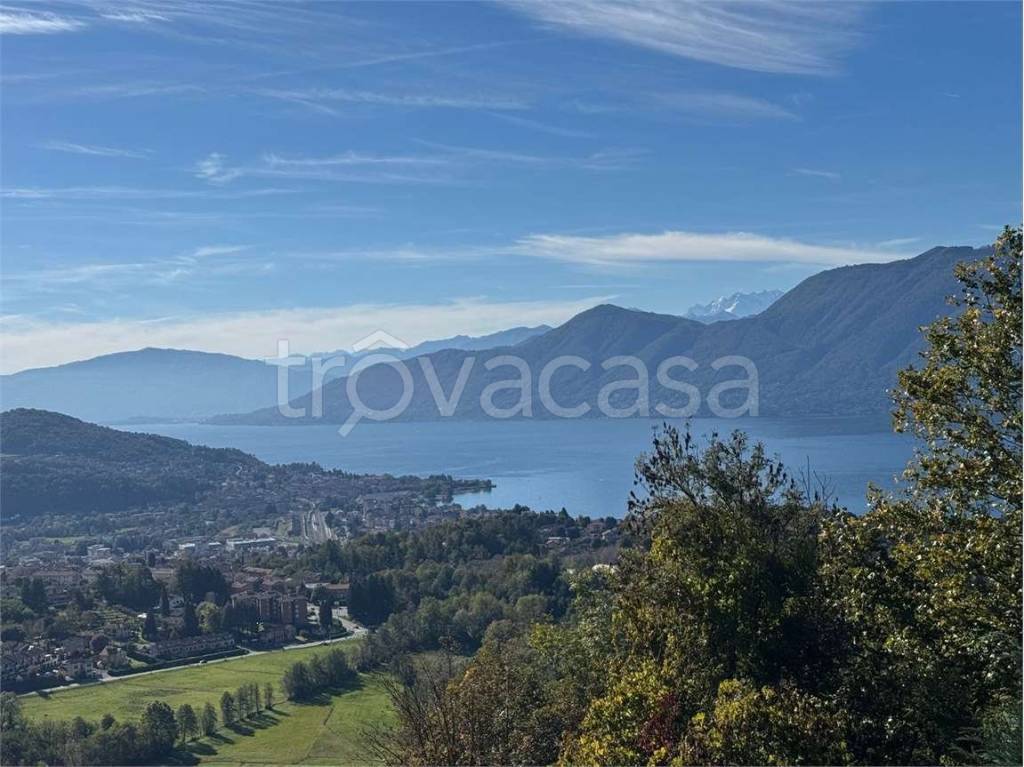 immagine annuncio 10 di 12