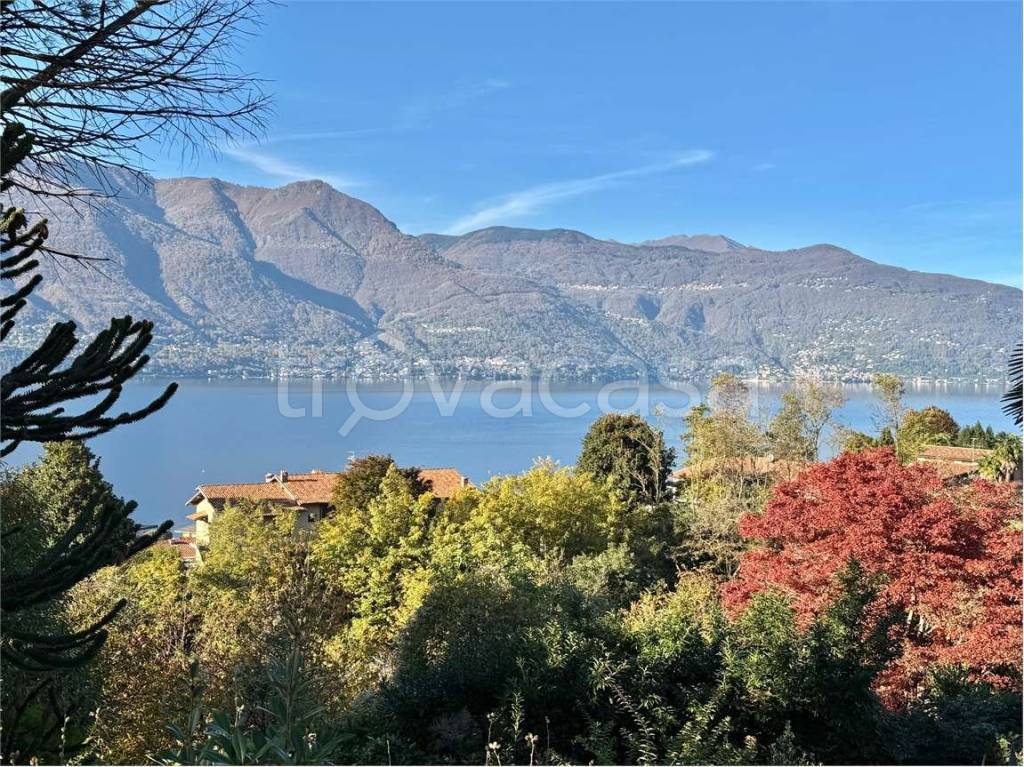 immagine annuncio 13 di 14