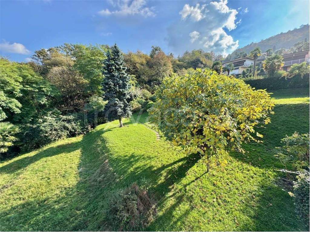 immagine annuncio 10 di 13