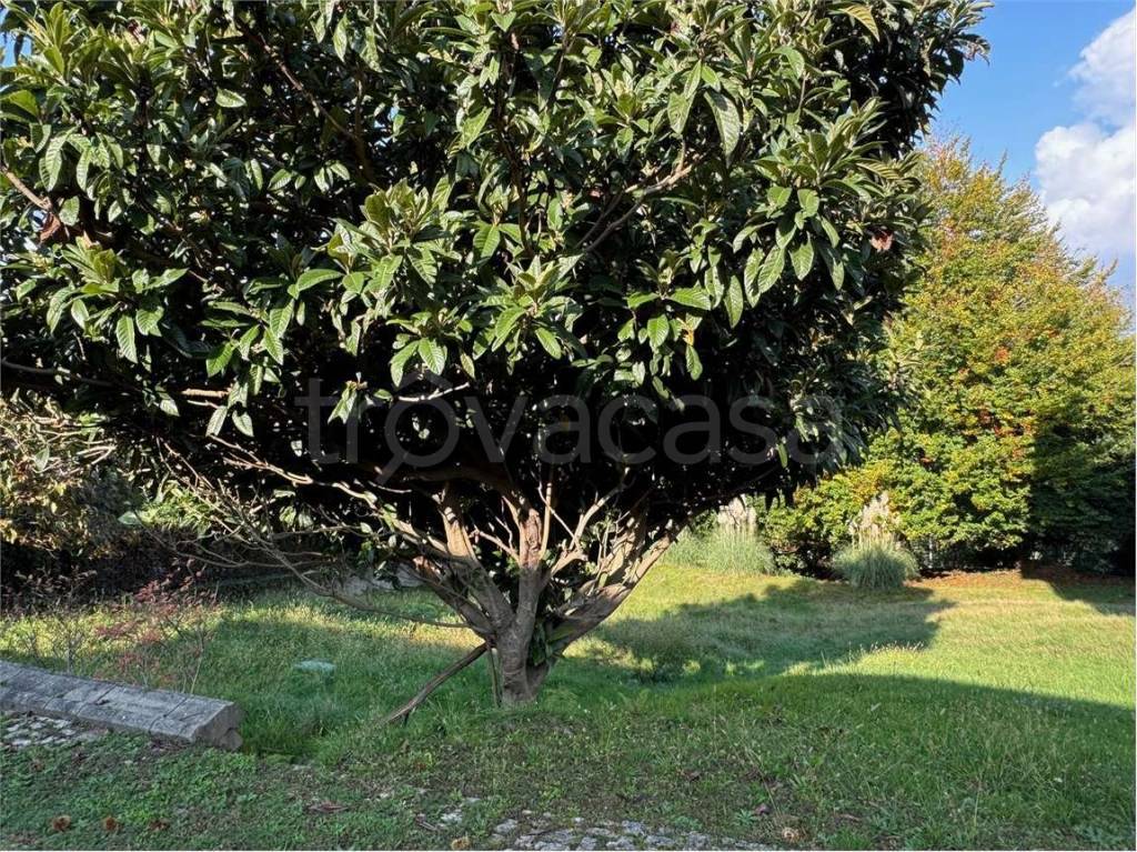 immagine annuncio 11 di 13