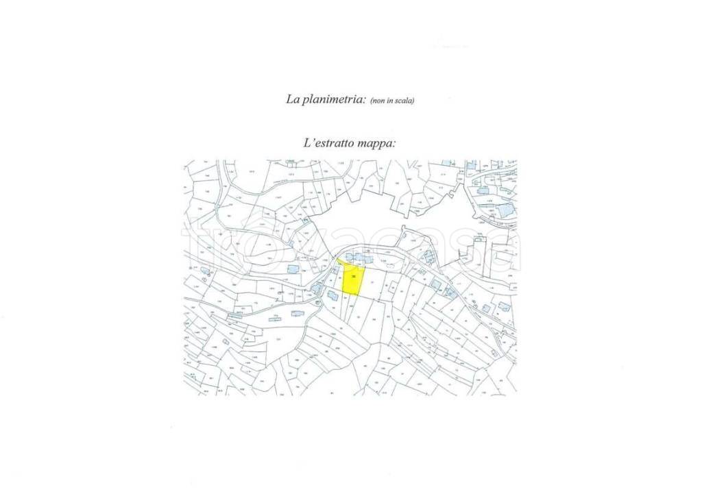 immagine annuncio 4 di 6