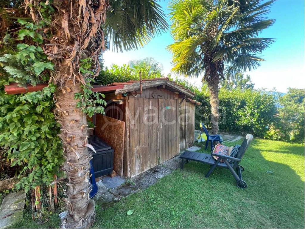 immagine annuncio 12 di 15