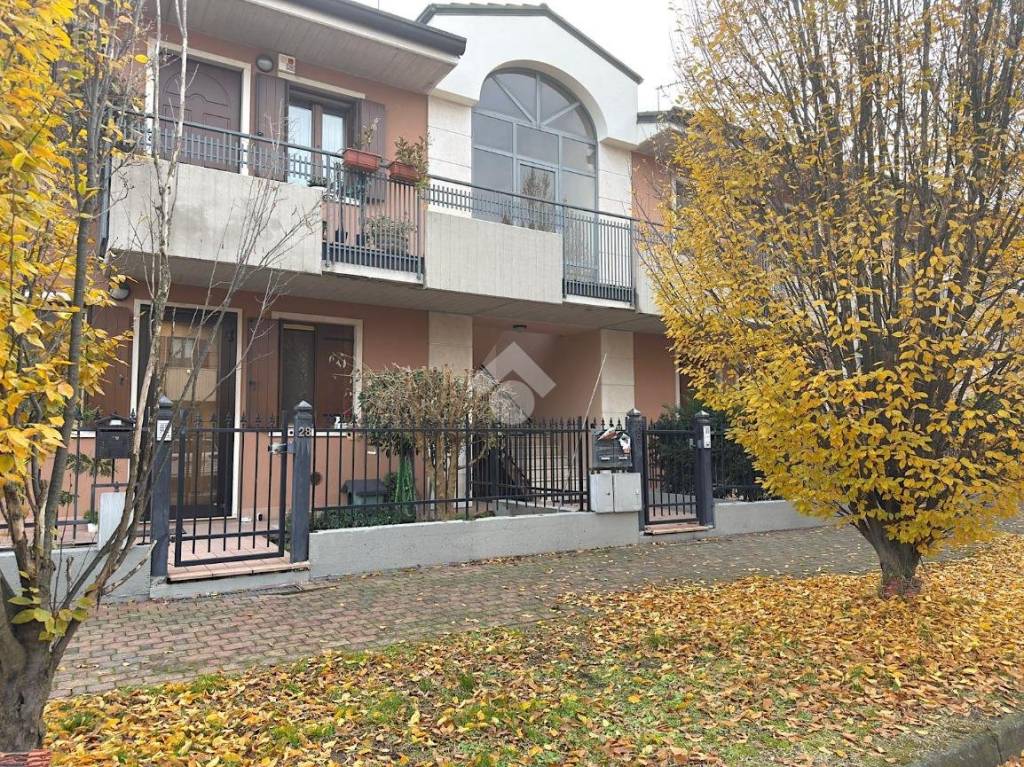 immagine annuncio 2 di 15