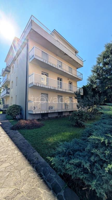 immagine annuncio 10 di 12