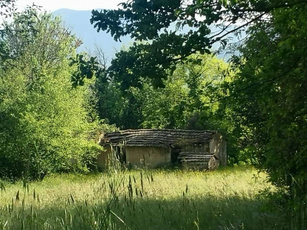 immagine annuncio 1 di 6