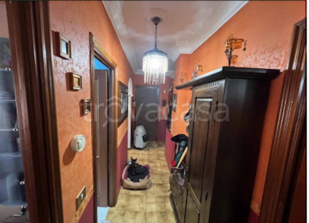 immagine annuncio 5 di 13