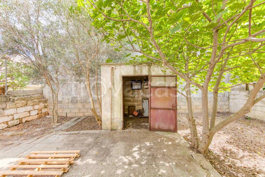 immagine annuncio 5 di 15