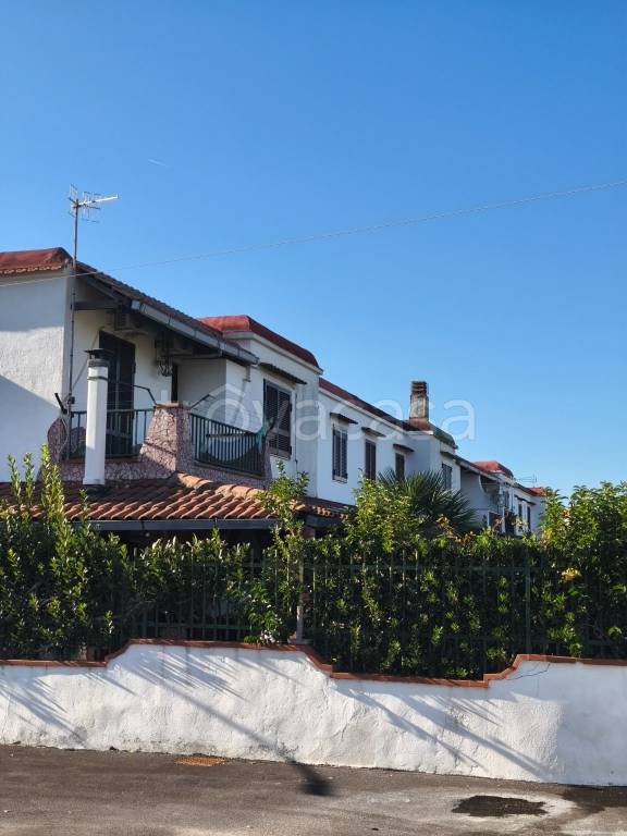 immagine annuncio 2 di 8