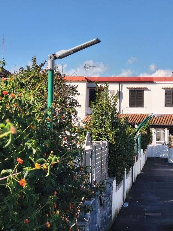 immagine annuncio 3 di 8