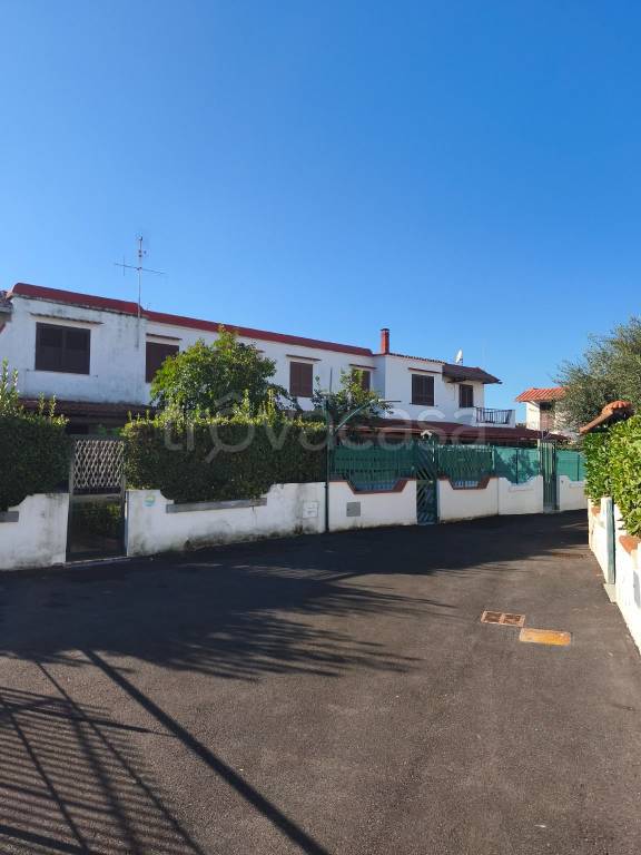 immagine annuncio 5 di 8