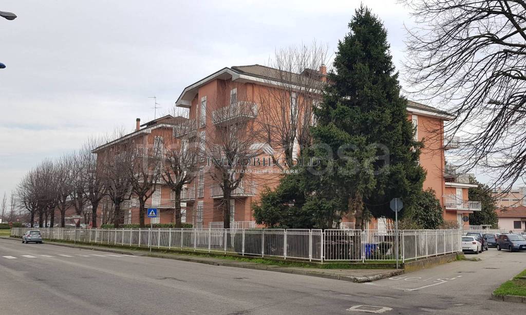 immagine annuncio 10 di 11