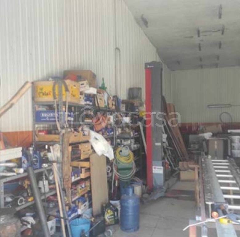 immagine annuncio 6 di 11