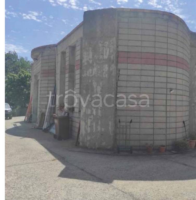 immagine annuncio 7 di 11