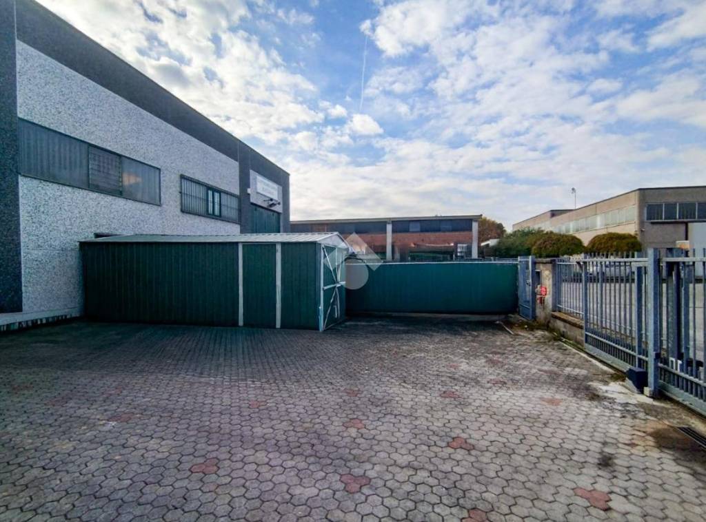 immagine annuncio 12 di 15