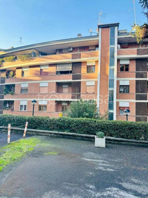 immagine annuncio 6 di 11