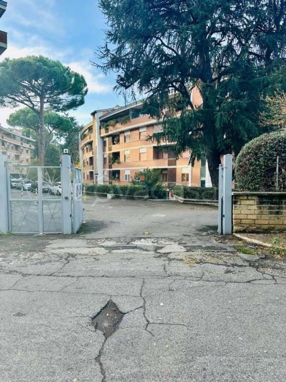 immagine annuncio 10 di 11