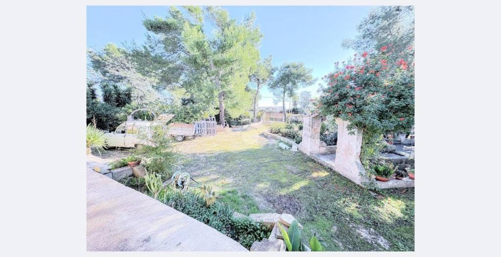 immagine annuncio 10 di 12