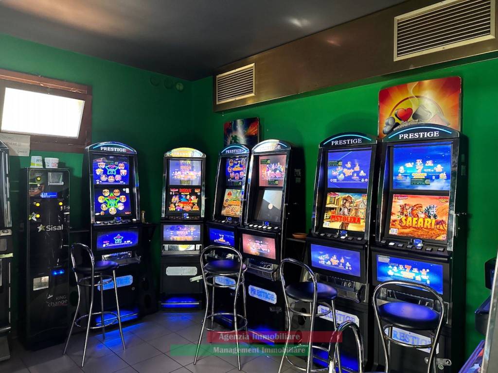 immagine annuncio 7 di 13