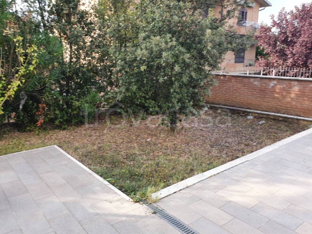 immagine annuncio 5 di 9