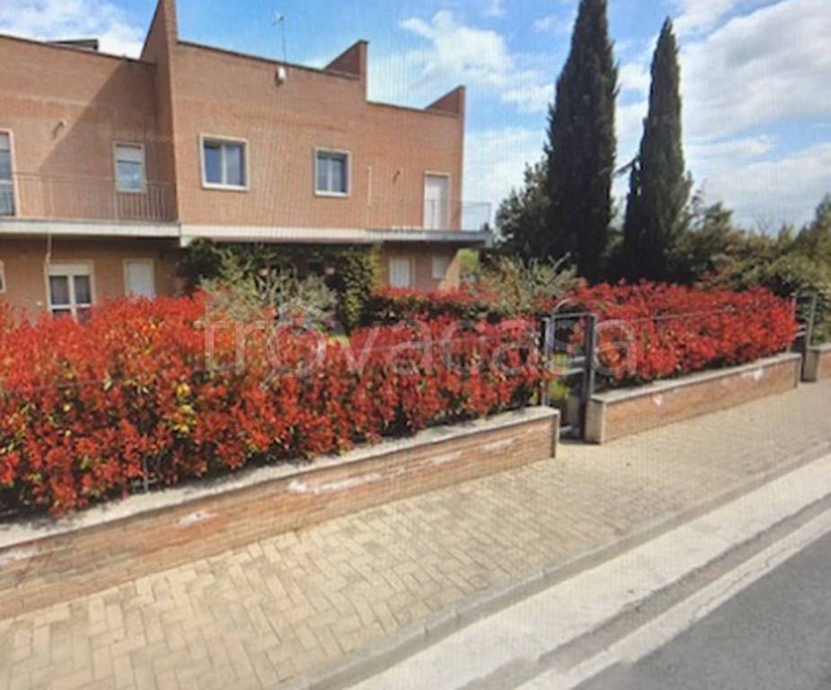 immagine annuncio 8 di 9