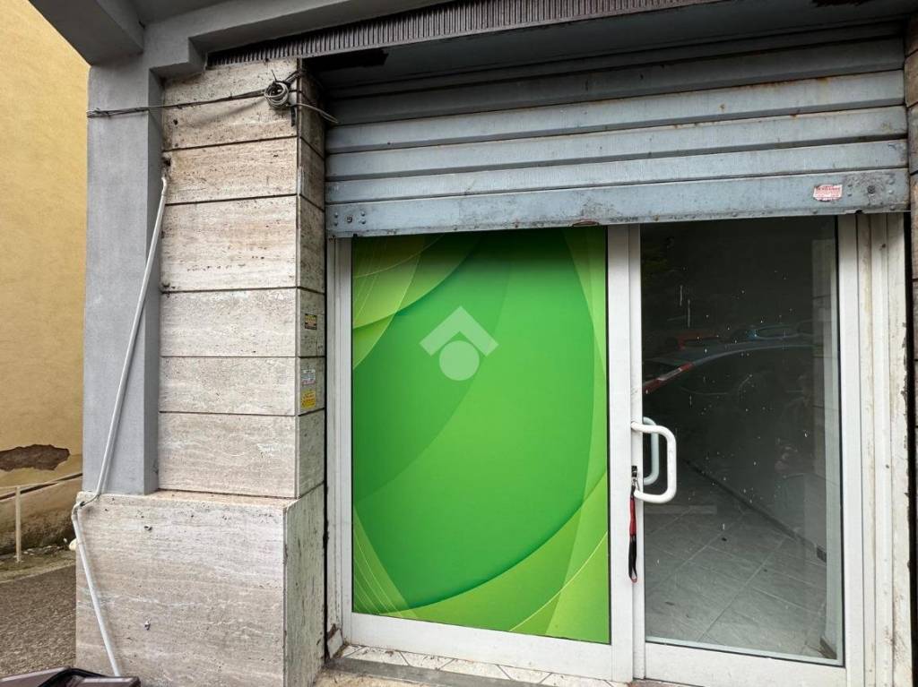 immagine annuncio 2 di 14