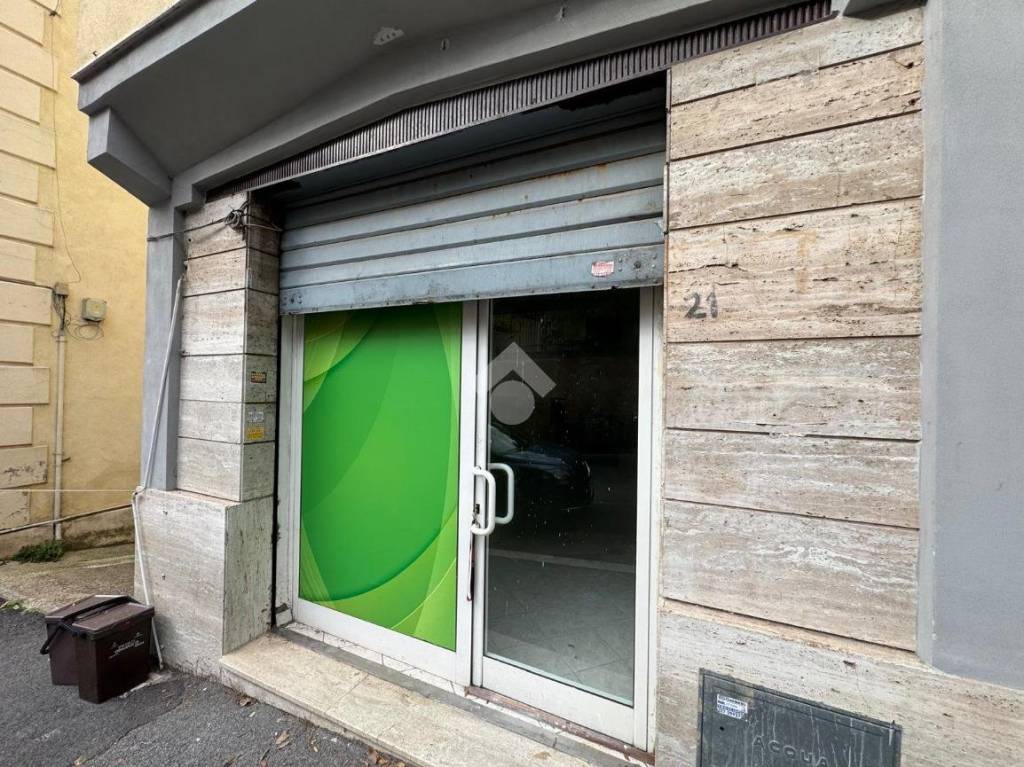 immagine annuncio 3 di 14