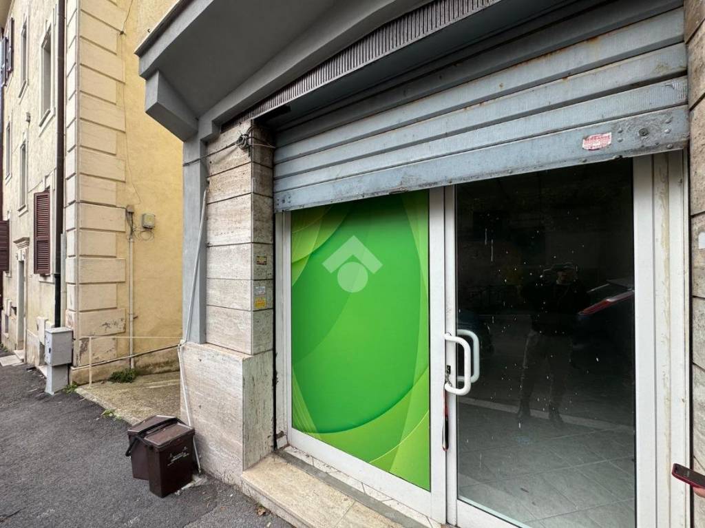 immagine annuncio 4 di 14