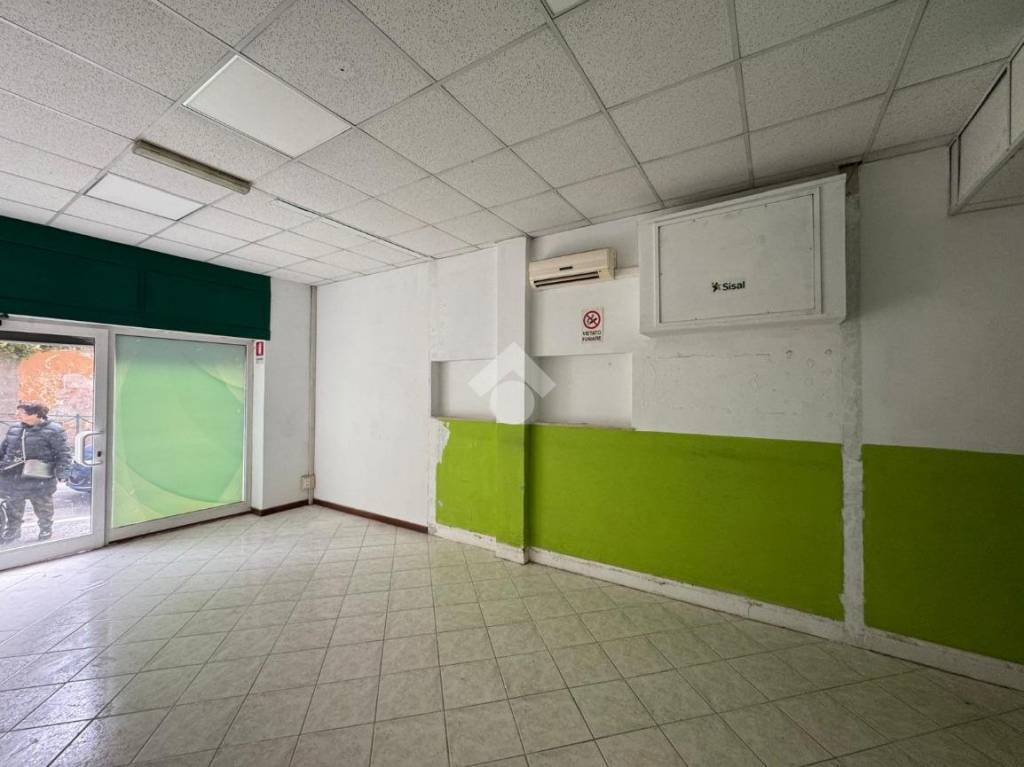 immagine annuncio 6 di 14