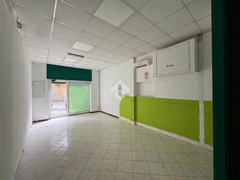 immagine annuncio 8 di 14