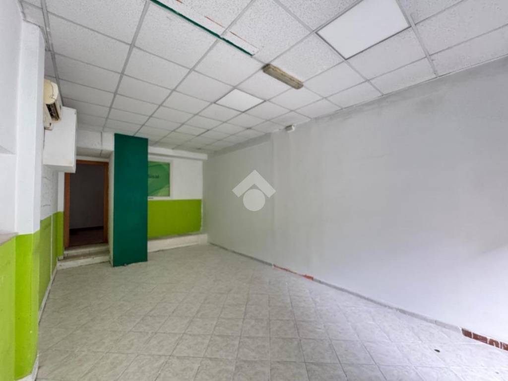 immagine annuncio 9 di 14