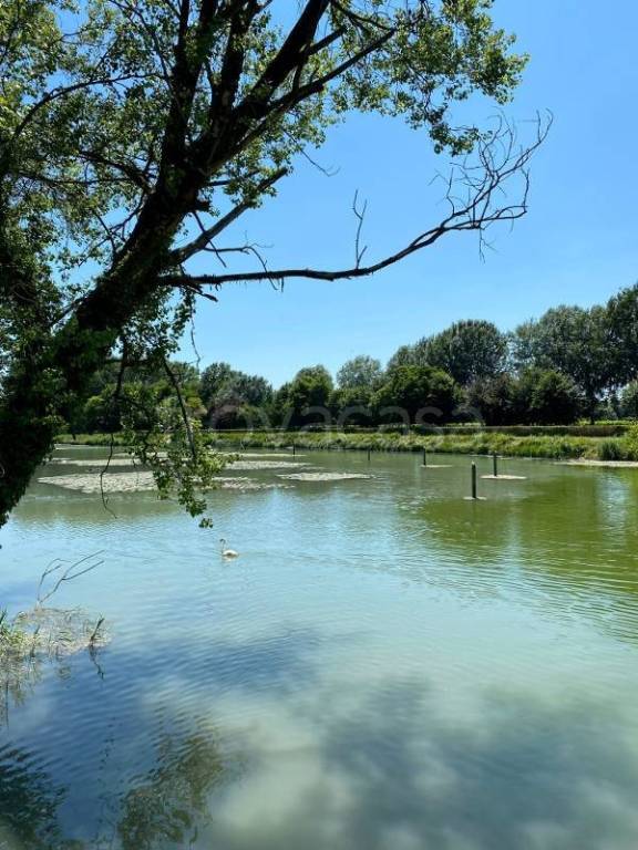 immagine annuncio 2 di 9