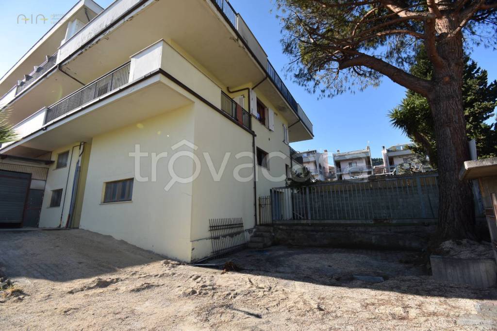 immagine annuncio 10 di 15