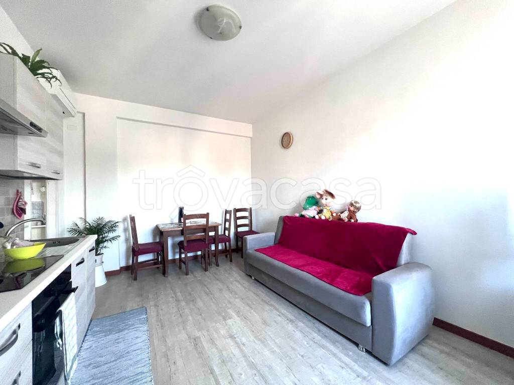 immagine annuncio 2 di 12