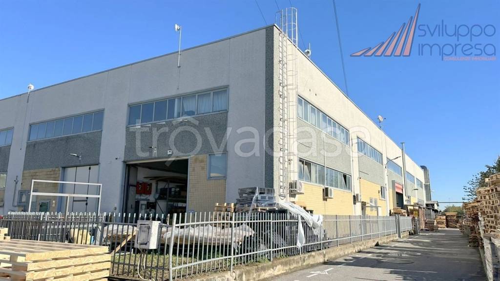 immagine annuncio 3 di 15