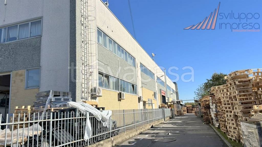 immagine annuncio 5 di 15