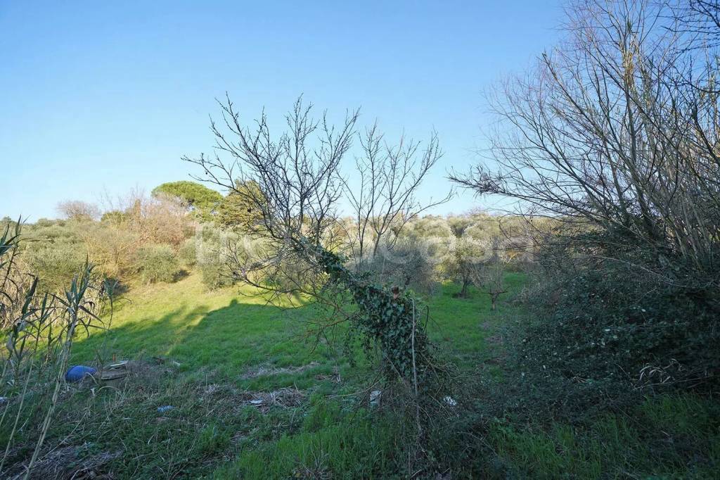 immagine annuncio 5 di 9