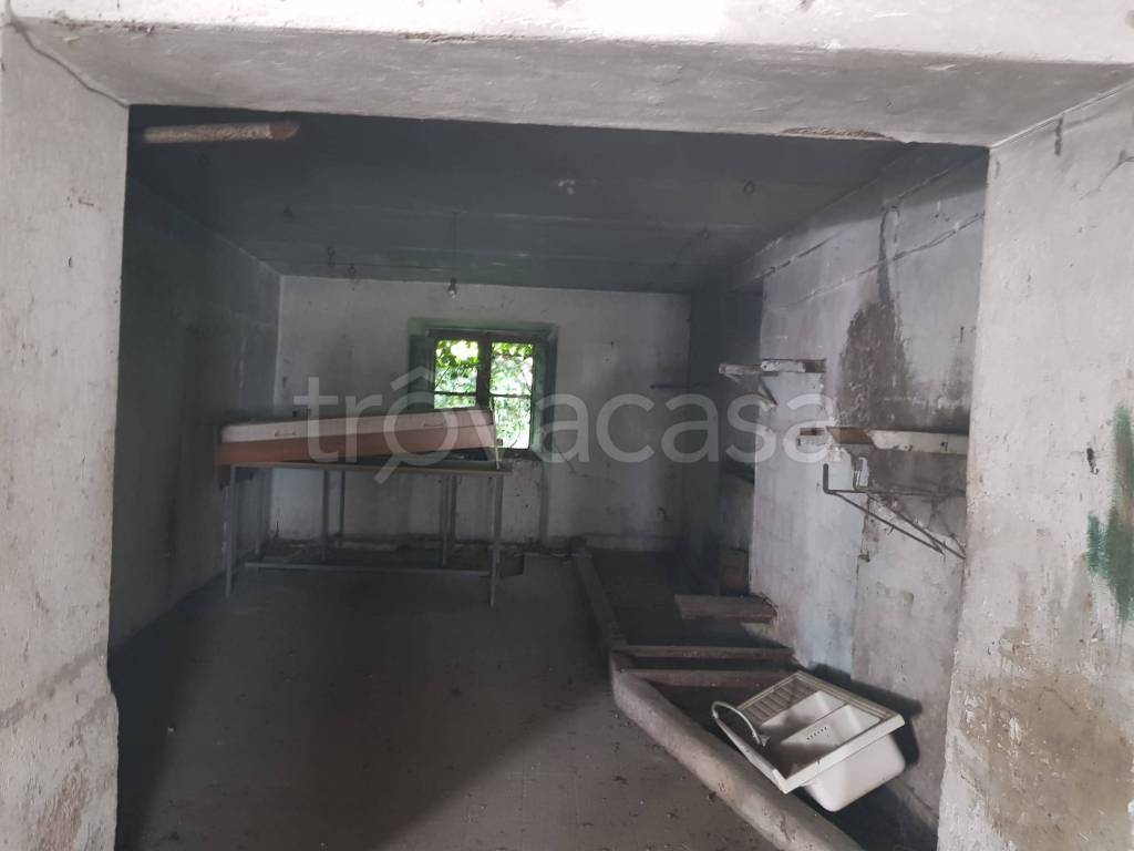 immagine annuncio 9 di 14