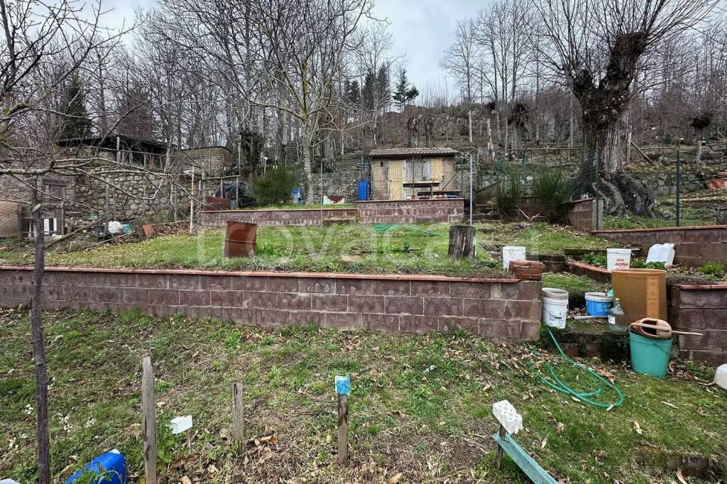 immagine annuncio 2 di 13