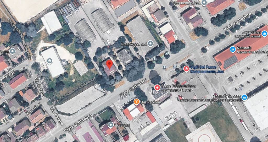 immagine annuncio 2 di 7